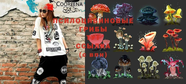 прущие крисы Инсар