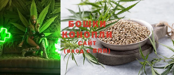 гашик Иннополис