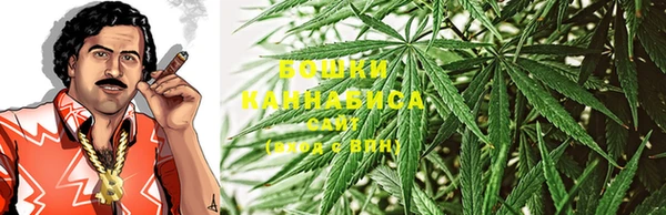 прущие крисы Инсар