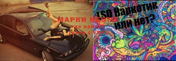 гашик Иннополис