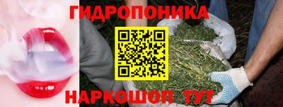 хмурый Кандалакша