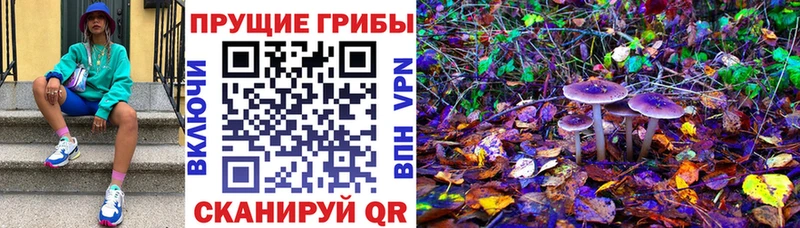 mega сайт Уварово Галлюциногенные грибы Magic Shrooms