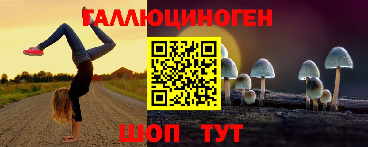 Псилоцибиновые грибы MAGIC MUSHROOMS  Вход с VPN  Уварово 